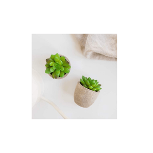 UnboxMe Care Package For Women