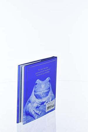 The Blue Day Book: A Lesson in Cheering Yourself Up