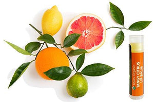 Organic Lip Balm (Variety Pack of 6)