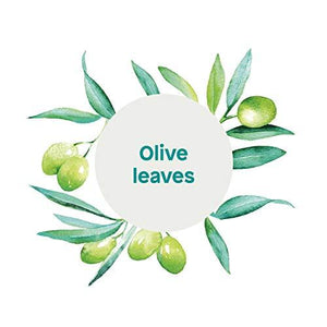 ATTITUDE Super Leaves, Hypoallergenic Hand Soap, Olive Leaves, 16 Fluid Ounce