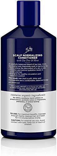 Avalon Organics Therapy Scalp Normalizing Conditioner, Tea Tree Mint, 14 Oz