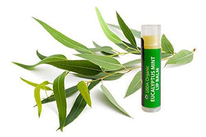 Organic Lip Balm (Variety Pack of 6)