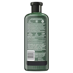 Herbal Essences Bio: Renew Mango + Potent Aloe Sulfate Free Shampoo for Curly Hair 13.5 Fl oz