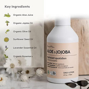 Earnest Mom - Aloe & Jojoba Lotion (6 Oz) | For Delicate Skin & Rash Protection | Antioxidant Rich Vitamin & Mineral Hydrating Blend | Fast Absorbing with Coconut & Lavender Essential Oils