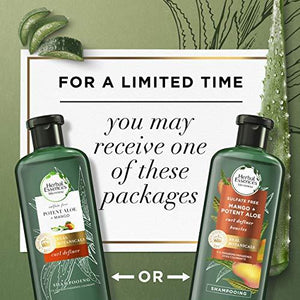 Herbal Essences Bio: Renew Mango + Potent Aloe Sulfate Free Shampoo for Curly Hair 13.5 Fl oz
