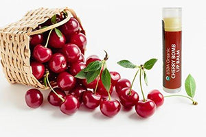 Organic Lip Balm (Variety Pack of 6)