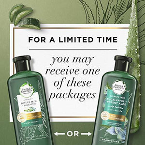 Herbal Essences Bio: Renew Aloe + Eucalyptus Sulfate Free Shampoo Scalp Balance, 13.5 Fl Oz, 5.491 Fl Oz