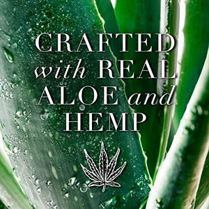 Herbal Essences Bio: Renew Hemp + Potent Aloe Sulfate Free Shampoo Frizz Control 13.5 Fl oz, 5.398 Fl oz