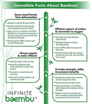 200 Piece Bamboo Cutlery Set 6.75