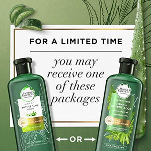 Herbal Essences Bio: Renew Hemp + Potent Aloe Sulfate Free Shampoo Frizz Control 13.5 Fl oz, 5.398 Fl oz