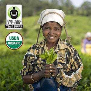 Honest Tea Organic Fair Trade Honey Green Gluten Free, 16.9 Fl. Oz, 12 Pack