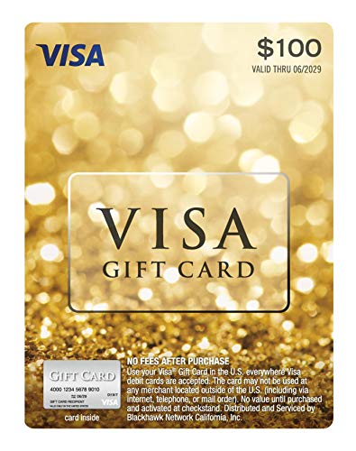 $100 Visa Gift Card ($5.95 Purchase Fee) - Your Purchase Supports Cancer  Patients - My CareCrew