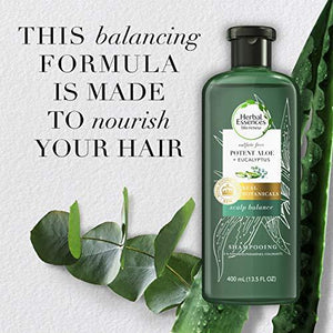 Herbal Essences Bio: Renew Aloe + Eucalyptus Sulfate Free Shampoo Scalp Balance, 13.5 Fl Oz, 5.491 Fl Oz