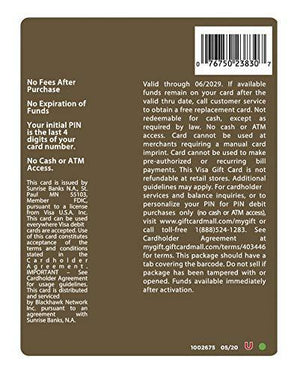 $100 Visa Gift Card (plus $5.95 Purchase Fee)