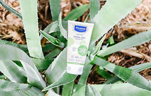 Mustela Baby Organic Hydrating Cream with Olive Oil, Aloe Vera & Sunflower Oil 5.07 Fluid Oz