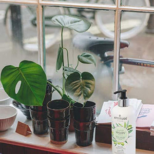 ATTITUDE Super Leaves, Hypoallergenic Hand Soap, Olive Leaves, 16 Fluid Ounce