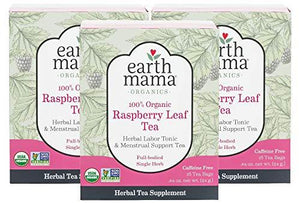 Earth Mama Organic Raspberry Leaf Tea Bags for Labor Tonic and Menstrual Support, 16-Count (3-Pack)