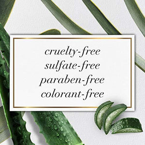 Herbal Essences Bio: Renew Aloe + Eucalyptus Sulfate Free Shampoo Scalp Balance, 13.5 Fl Oz, 5.491 Fl Oz