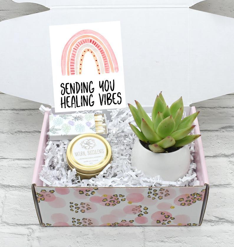 send a succulent Healing Vibes Succulent Gift Box