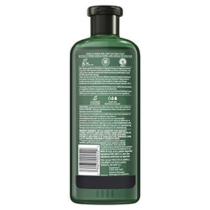 Herbal Essences Bio: Renew Aloe + Eucalyptus Sulfate Free Shampoo Scalp Balance, 13.5 Fl Oz, 5.491 Fl Oz
