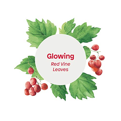 ATTITUDE Glowing Body Wash For Oily Normal Dry Skin EWG Safe Hypoallergenic Vegan CrueltyFree Body Wash 16 Fluid Ounce, Red Vine Leaves, 11294