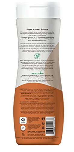 ATTITUDE Hair Shampoo, EWG Verified, Plant- and Mineral-Based Ingredients, Vegan and Cruelty-free Beauty and Personal Care Products, Wavy and Curly, Peach and Vanilla, 16 Fl Oz