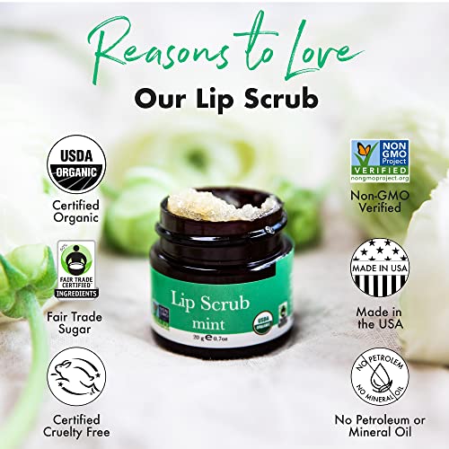 Organic Lip Scrub Mint