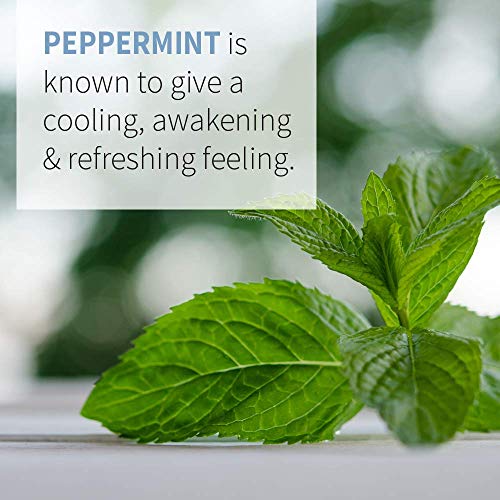 Garden of Life Essential Oil, Peppermint 0.5 fl oz (15 mL), 100% USDA Organic &amp; Pure, Undiluted &amp; Non-GMO - for Diffuser, Aromatherapy, Meditation - Energizing, Invigorating, Refreshing, Uplifting