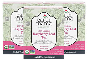 Earth Mama Organic Raspberry Leaf Tea Bags for Labor Tonic and Menstrual Support, 16-Count (3-Pack)