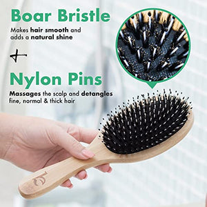 Boar Bristle Hair Brush - Hair Brushes for Women, Curly Hair Brush With Nylon Pins, Detangler Brush, Wooden Hair Brush for Men, Bamboo Brush for Curly Hair, Hairbrush for Women, Boar Bristle Brush