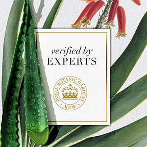 Herbal Essences Bio: Renew Hemp + Potent Aloe Sulfate Free Shampoo Frizz Control 13.5 Fl oz, 5.398 Fl oz