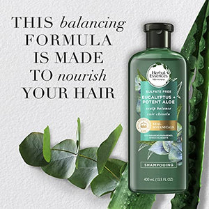 Herbal Essences Bio: Renew Aloe + Eucalyptus Sulfate Free Shampoo Scalp Balance, 13.5 Fl Oz, 5.491 Fl Oz