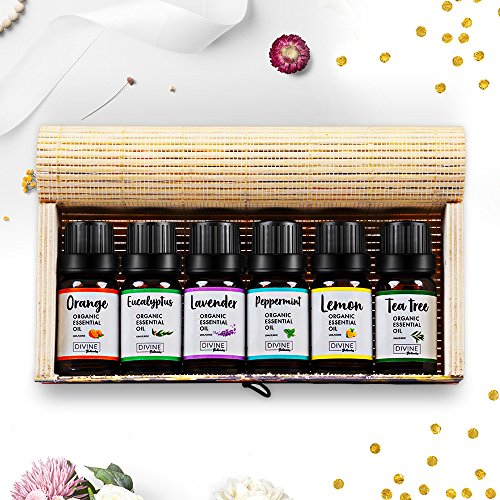 USDA Organic Essential Oils In Handmade Wooden Box - My CareCrew